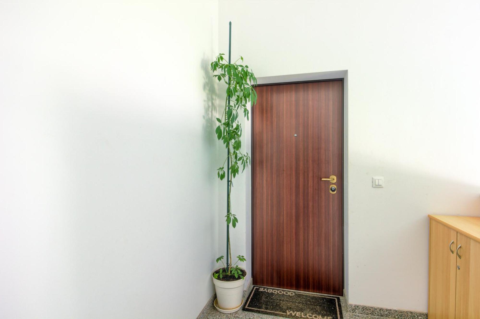 Apartments Zara Екстериор снимка